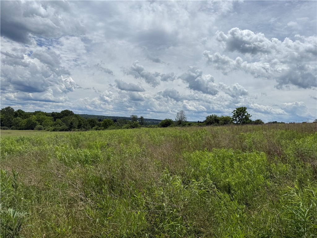 Tucker Road Ithaca, NY 14850 - Photo 11 of 35