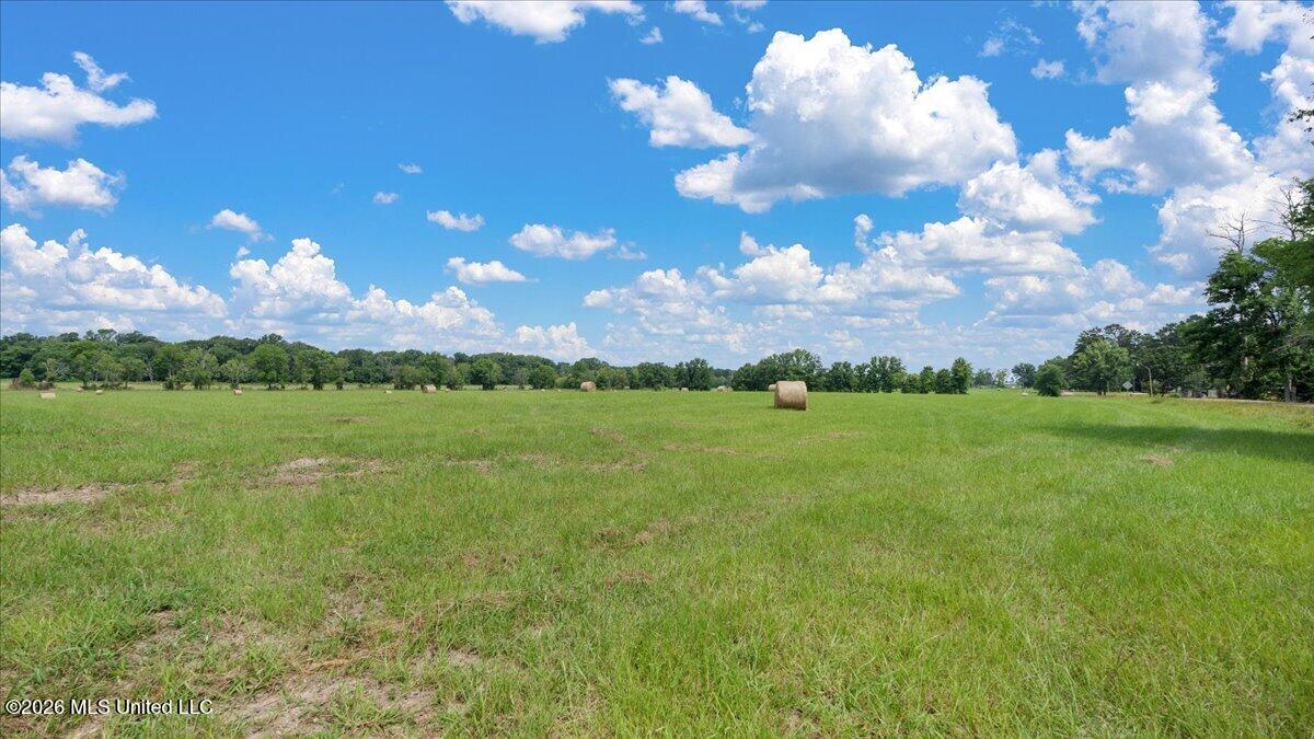 0 Us-80 Forest Forest, MS 39074 - Photo 3 of 16 01-IMG_3613