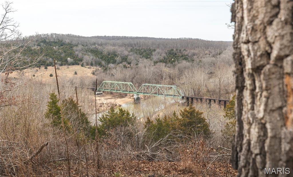 21303 Teardrop Road Devils Elbow, MO 65457 - Photo 39 of 39
