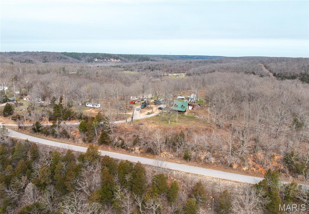 21303 Teardrop Road Devils Elbow, MO 65457 - Photo 7 of 39
