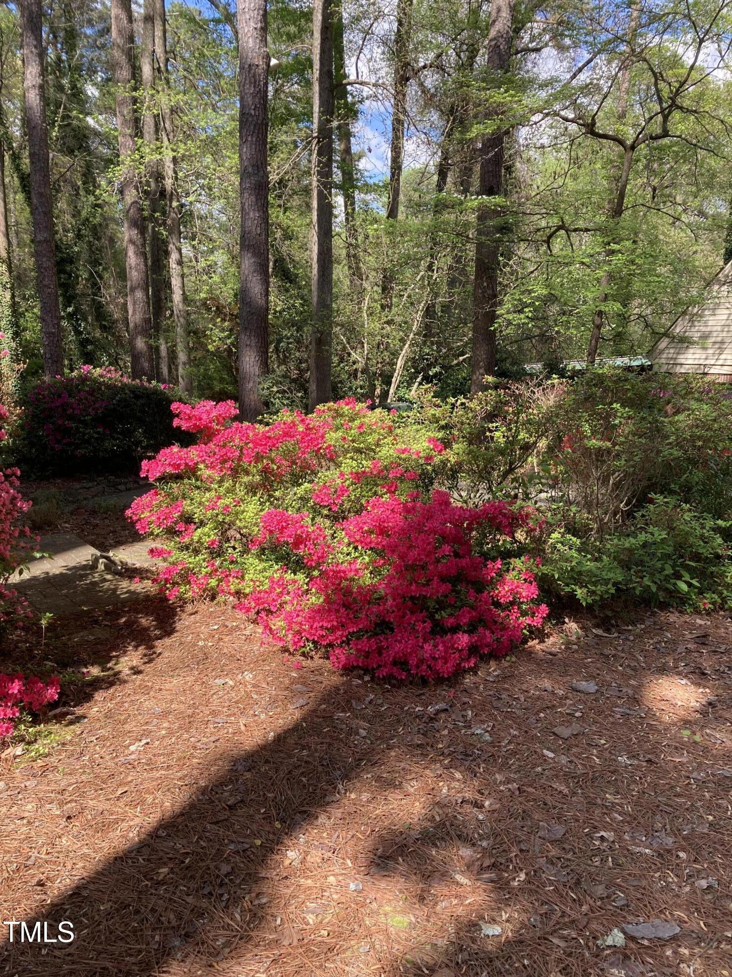 2706 Rosedale Avenue Raleigh, NC 27607 - Photo 69 of 73 IMG_0631