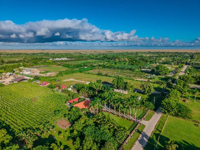 a view of an outdoor space and a yard