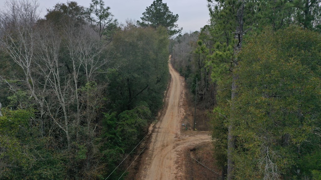 15.05 Pera Road Samson, AL 36477 - Photo 8 of 29