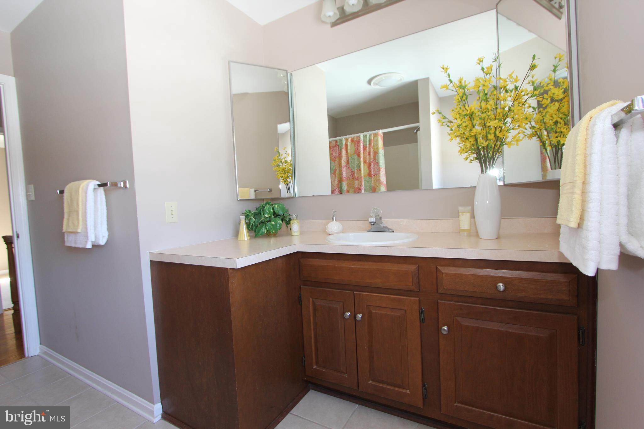 8100 Laurel Ridge Road Frederick, MD 21702 - Photo 33 of 53 Upstairs hallway bath