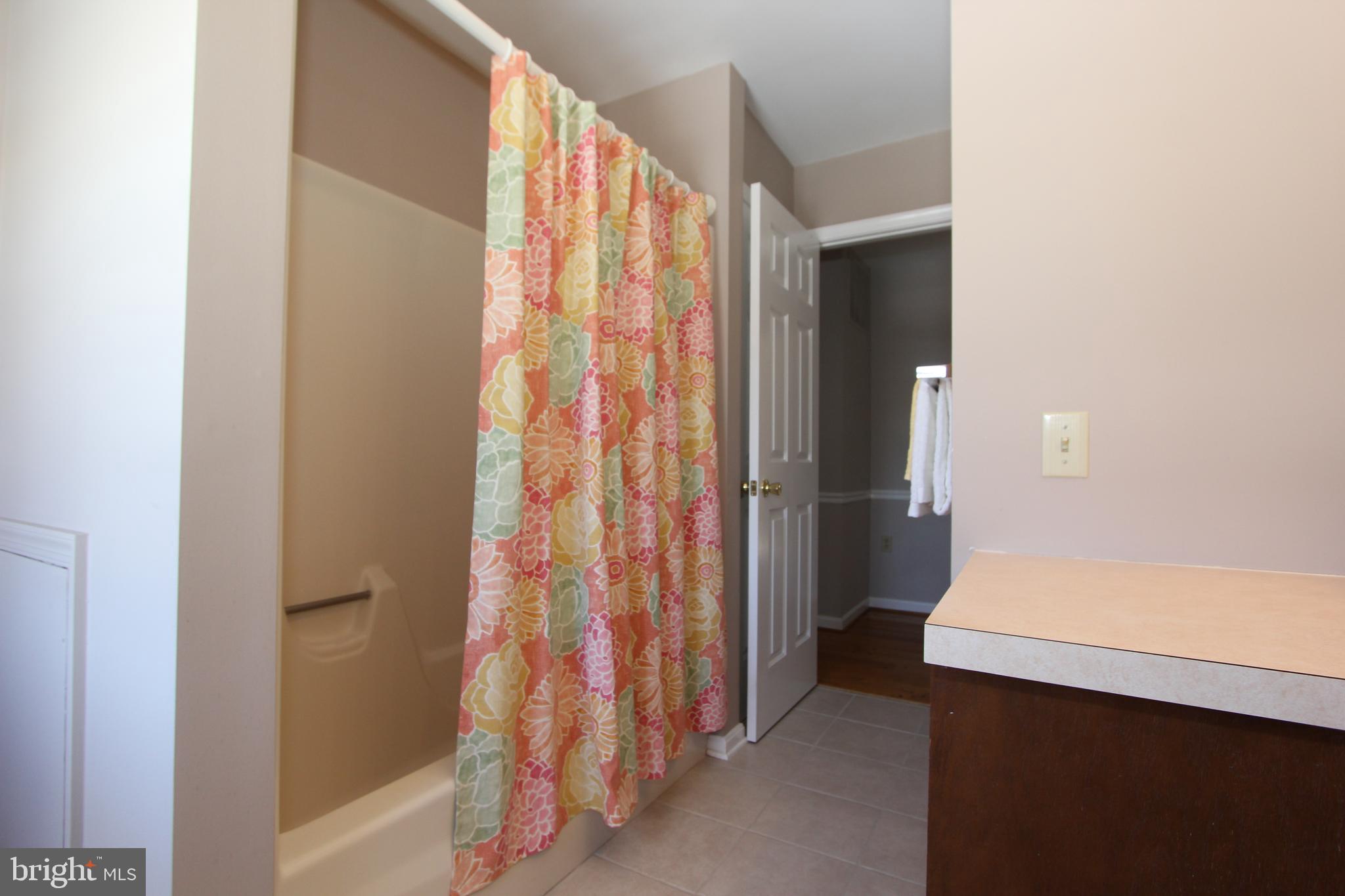 8100 Laurel Ridge Road Frederick, MD 21702 - Photo 34 of 53 Hall bath, view 2