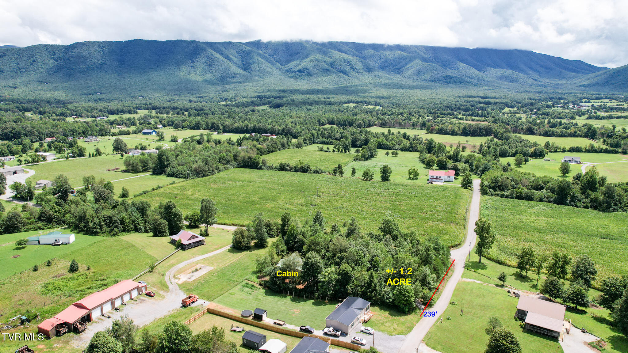 635 Ricker Road Greeneville, TN 37743 - Photo 35 of 42 35