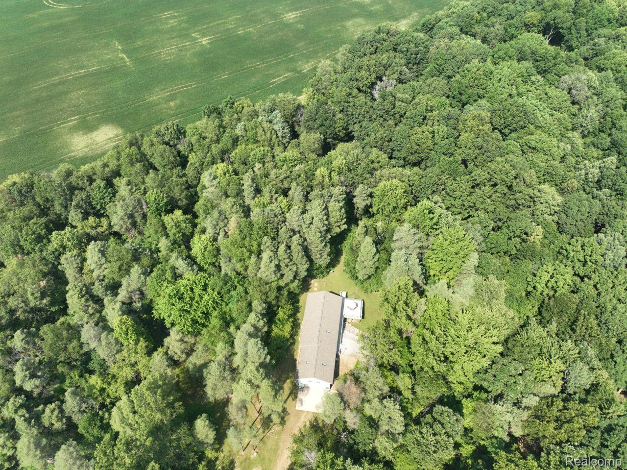 10201 Washburn Road Goodrich, MI 48438 - Photo 77 of 85 Extensive wooded acreage surrounding a residential structure