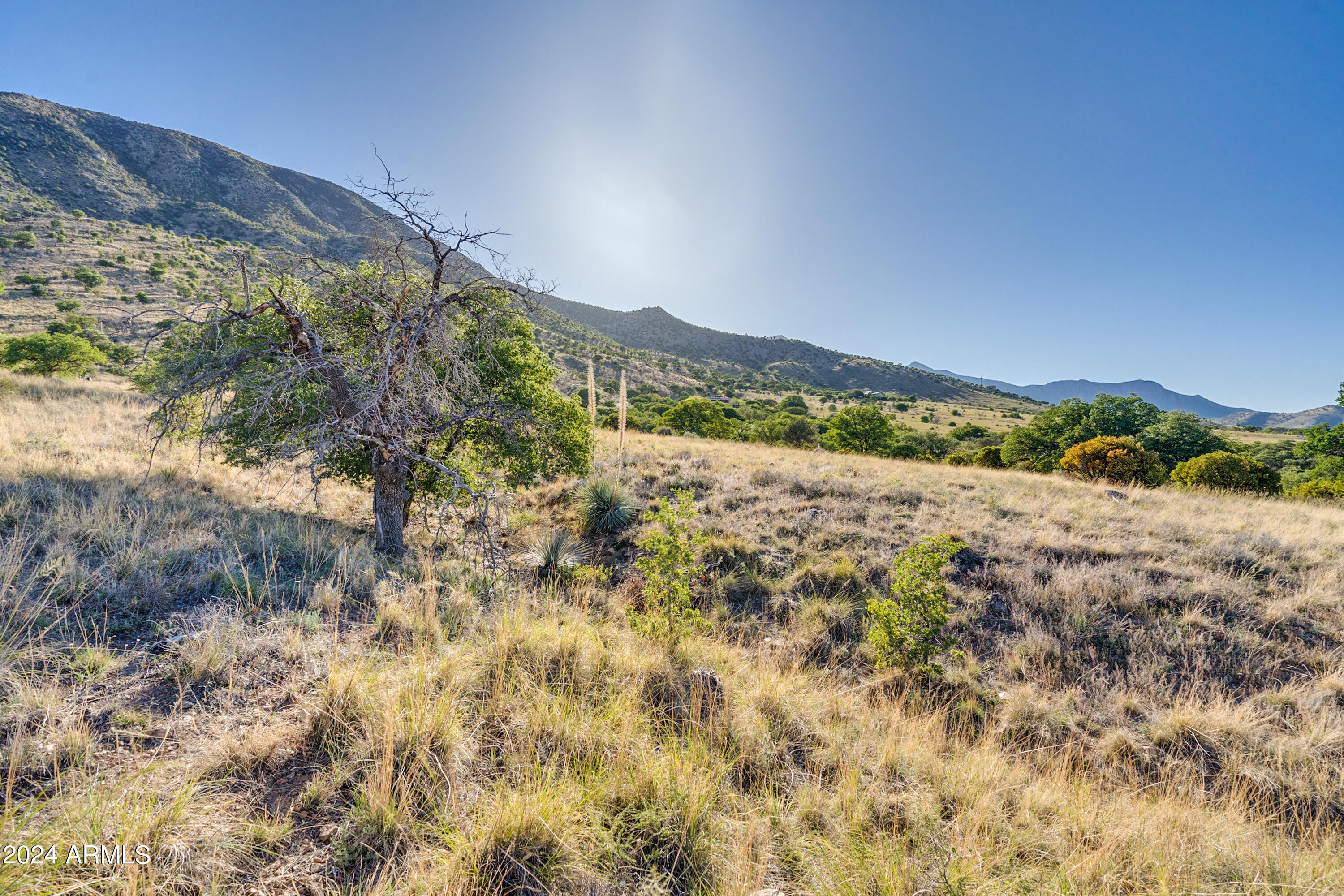 4-acres South 4-acres Ridge, Unit D Hereford, AZ 85615 - Photo 11 of 16 a view of mountain view with mountains in the background