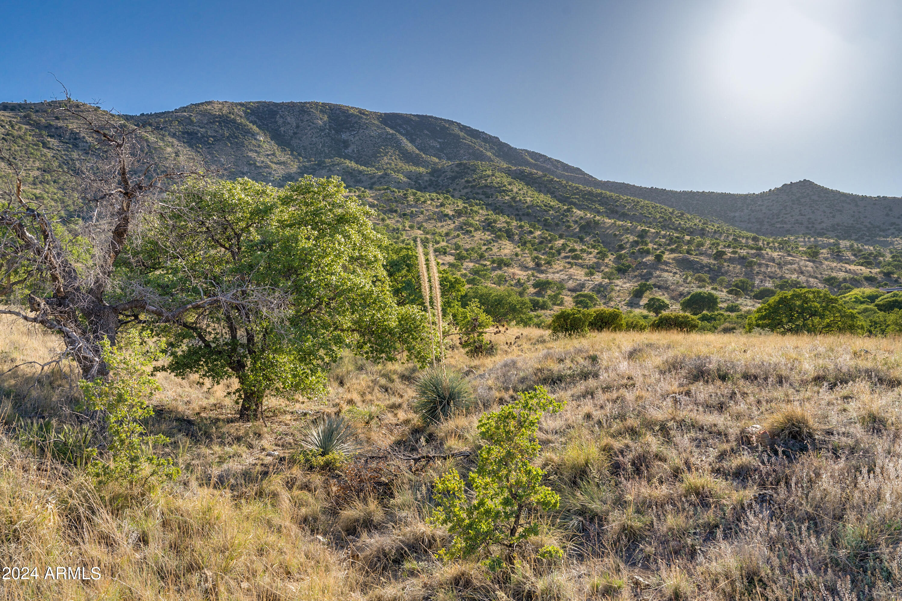 4-acres South 4-acres Ridge, Unit D Hereford, AZ 85615 - Photo 2 of 16 a view of mountains and valleys