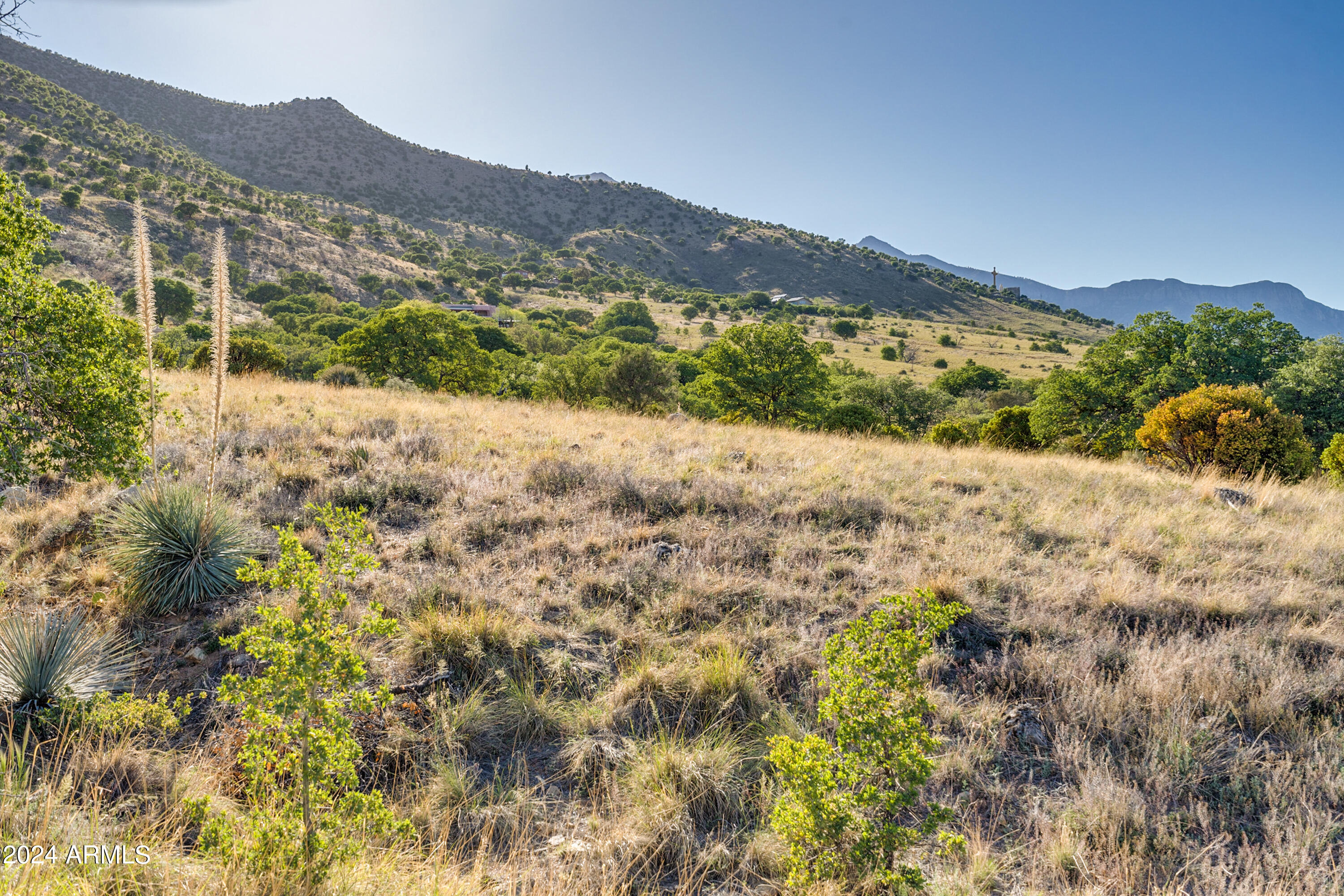 4-acres South 4-acres Ridge, Unit D Hereford, AZ 85615 - Photo 3 of 16 a view of a mountain with a mountain in the background