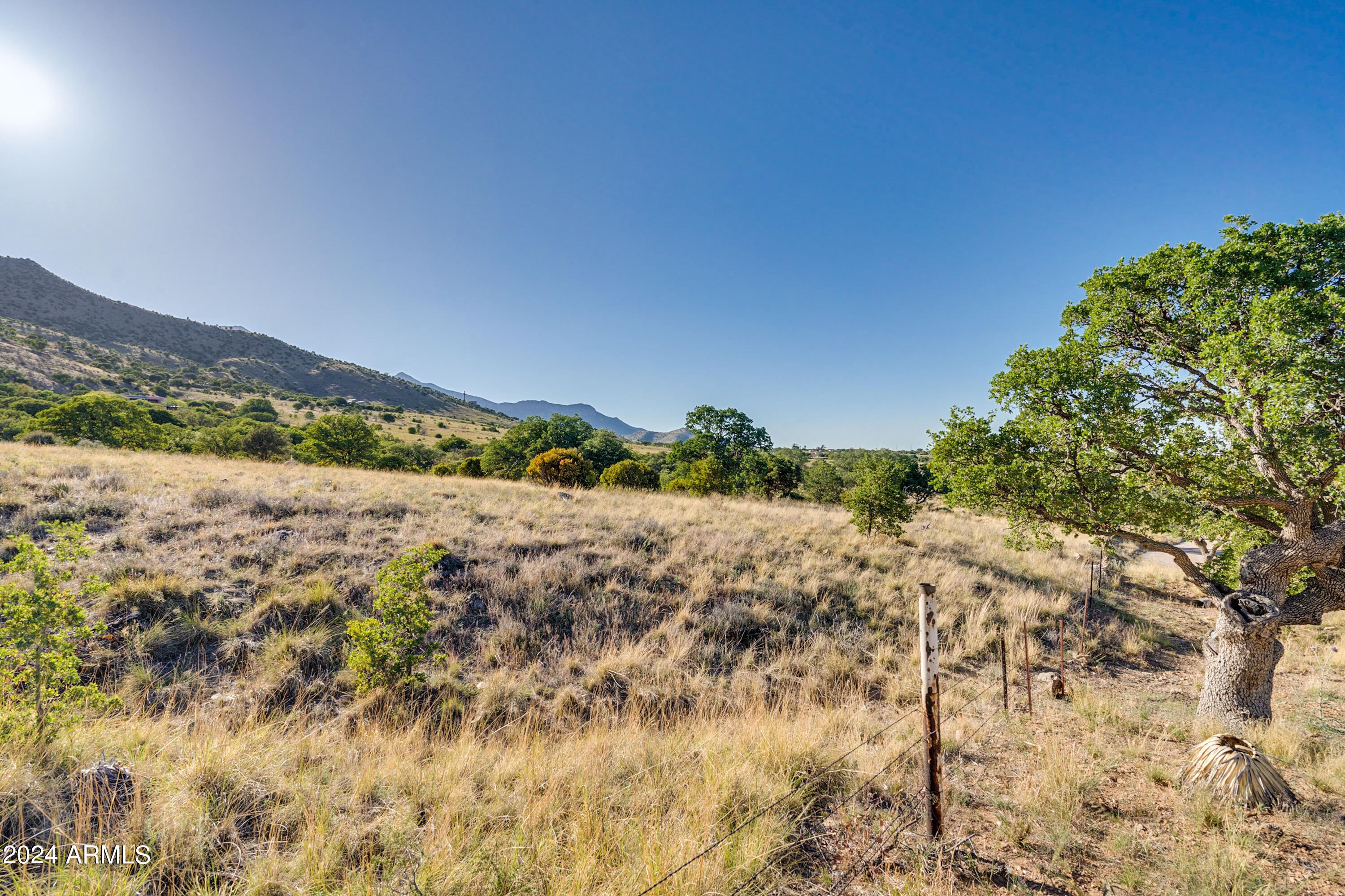 4-acres South 4-acres Ridge, Unit D Hereford, AZ 85615 - Photo 5 of 16 a view of a yard with a mountain view