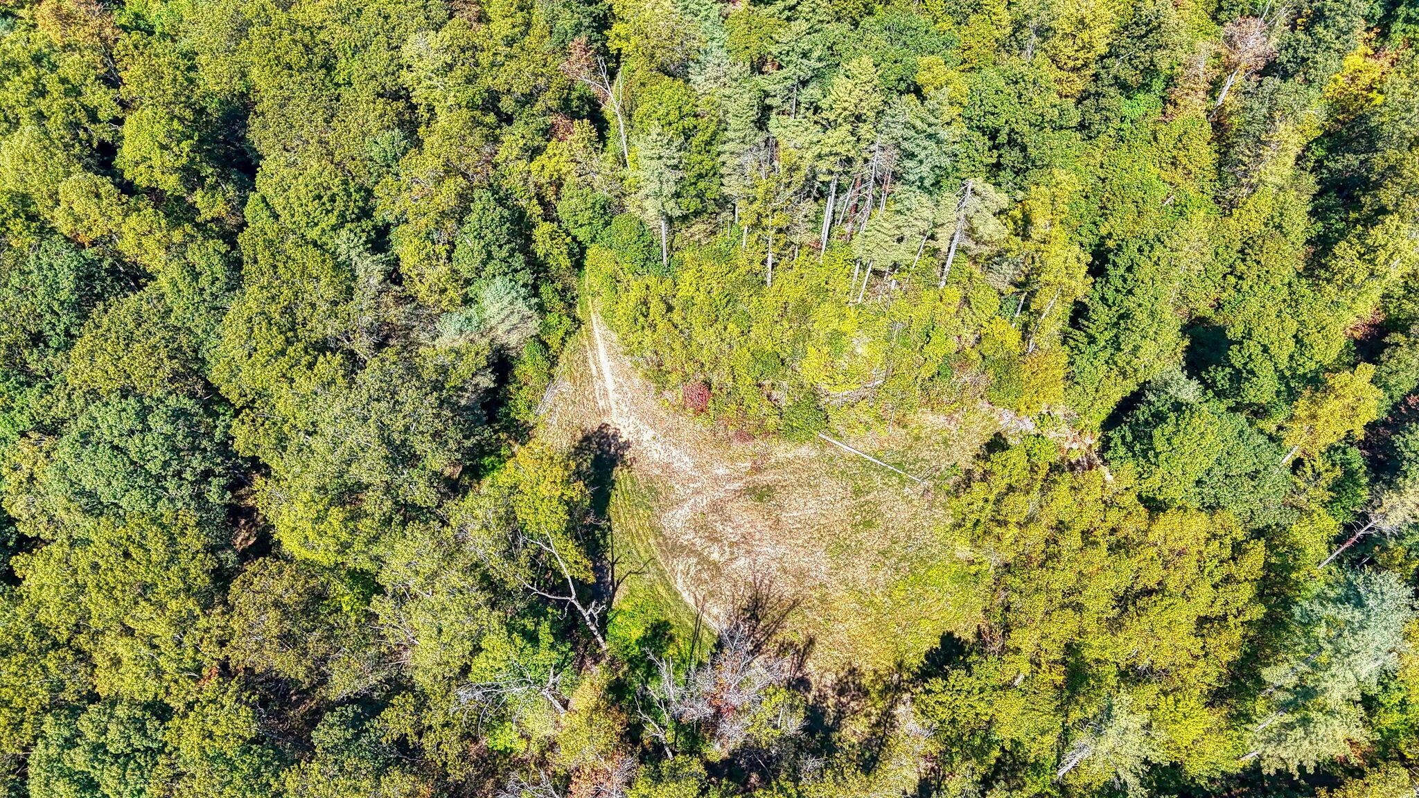 26501 Sowers Road McArthur, OH 45651 - Photo 58 of 64 26501 Sowers Rd (36)
