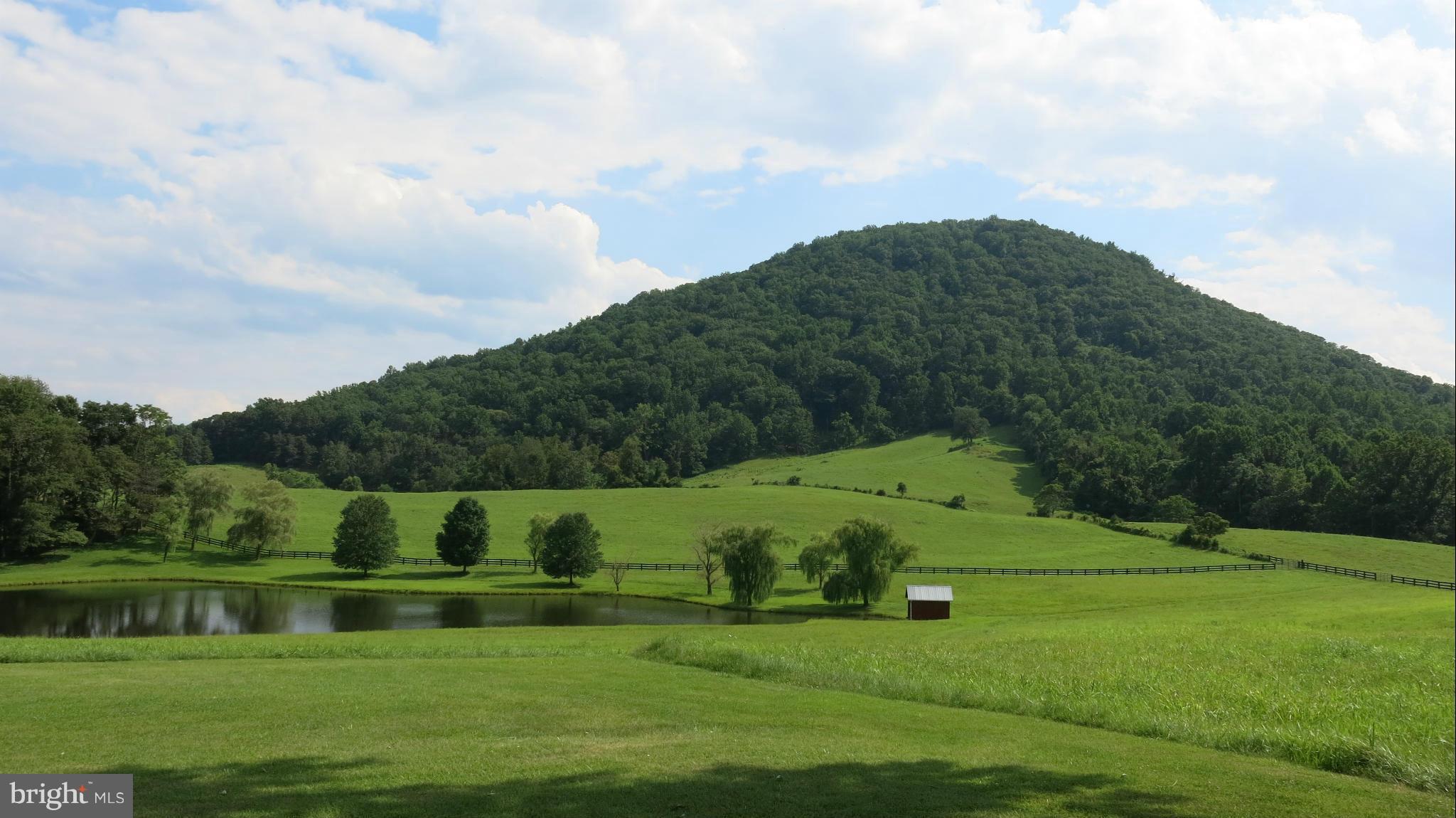 678 Bessie Bell Mountain Road Castleton, VA 22716 - Photo 1 of 30 View