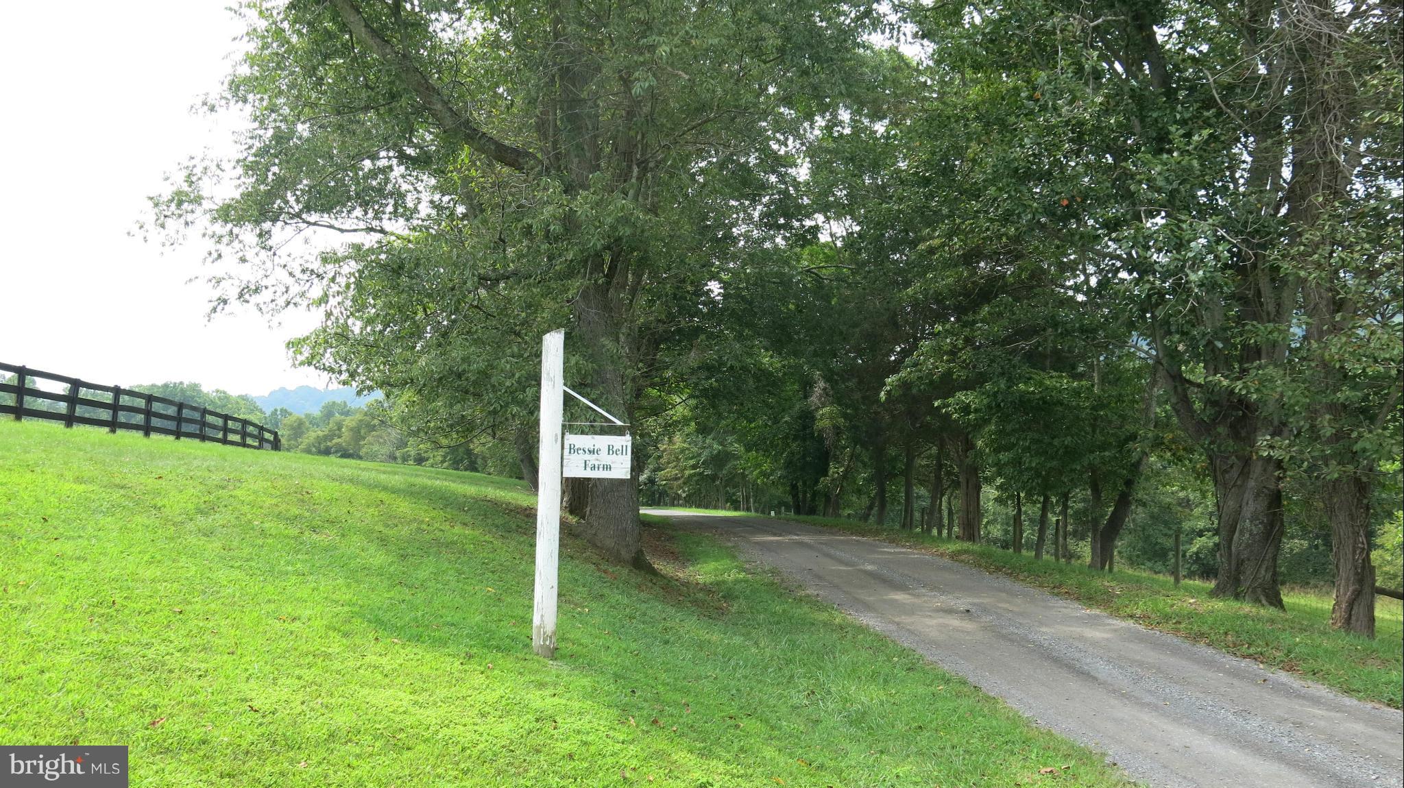 678 Bessie Bell Mountain Road Castleton, VA 22716 - Photo 14 of 30 View