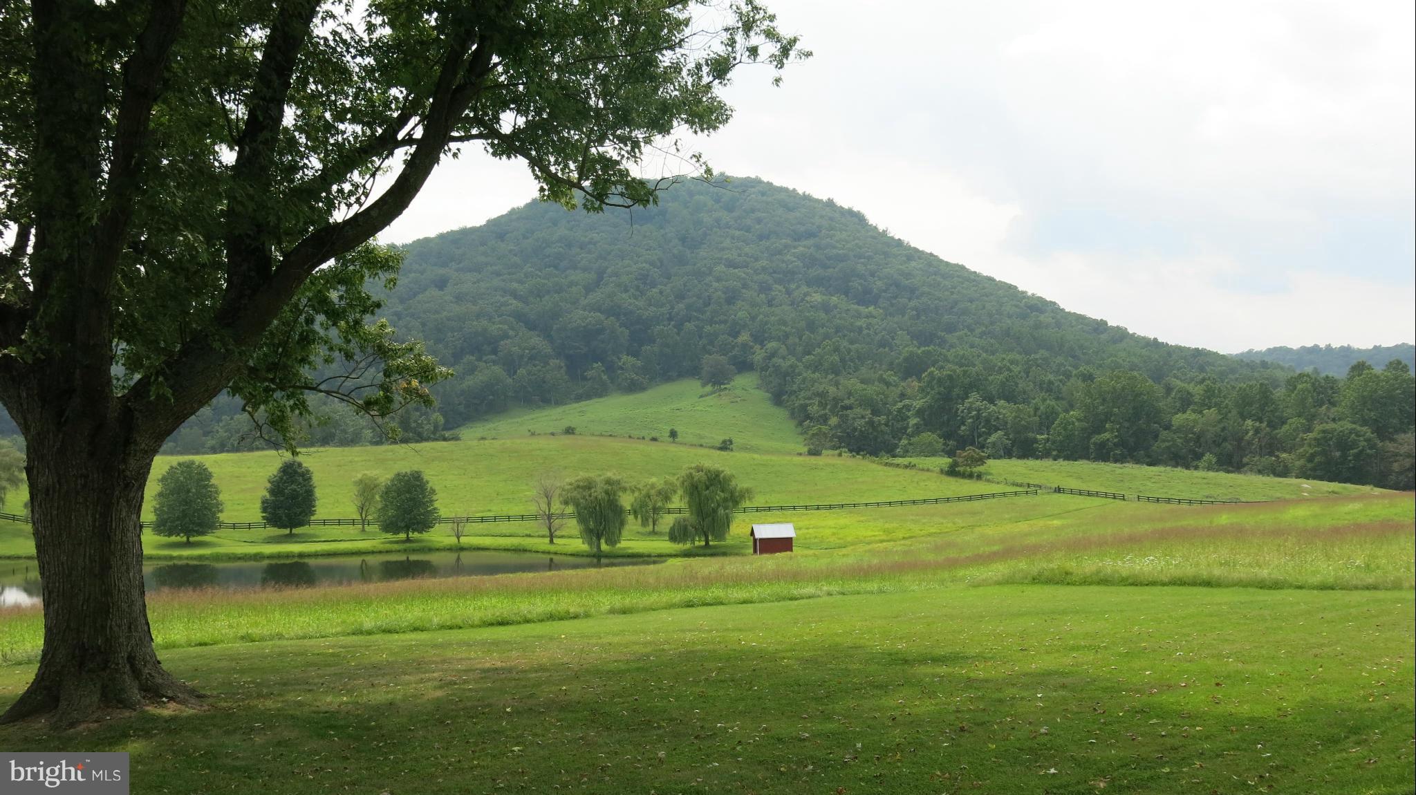 678 Bessie Bell Mountain Road Castleton, VA 22716 - Photo 16 of 30 View