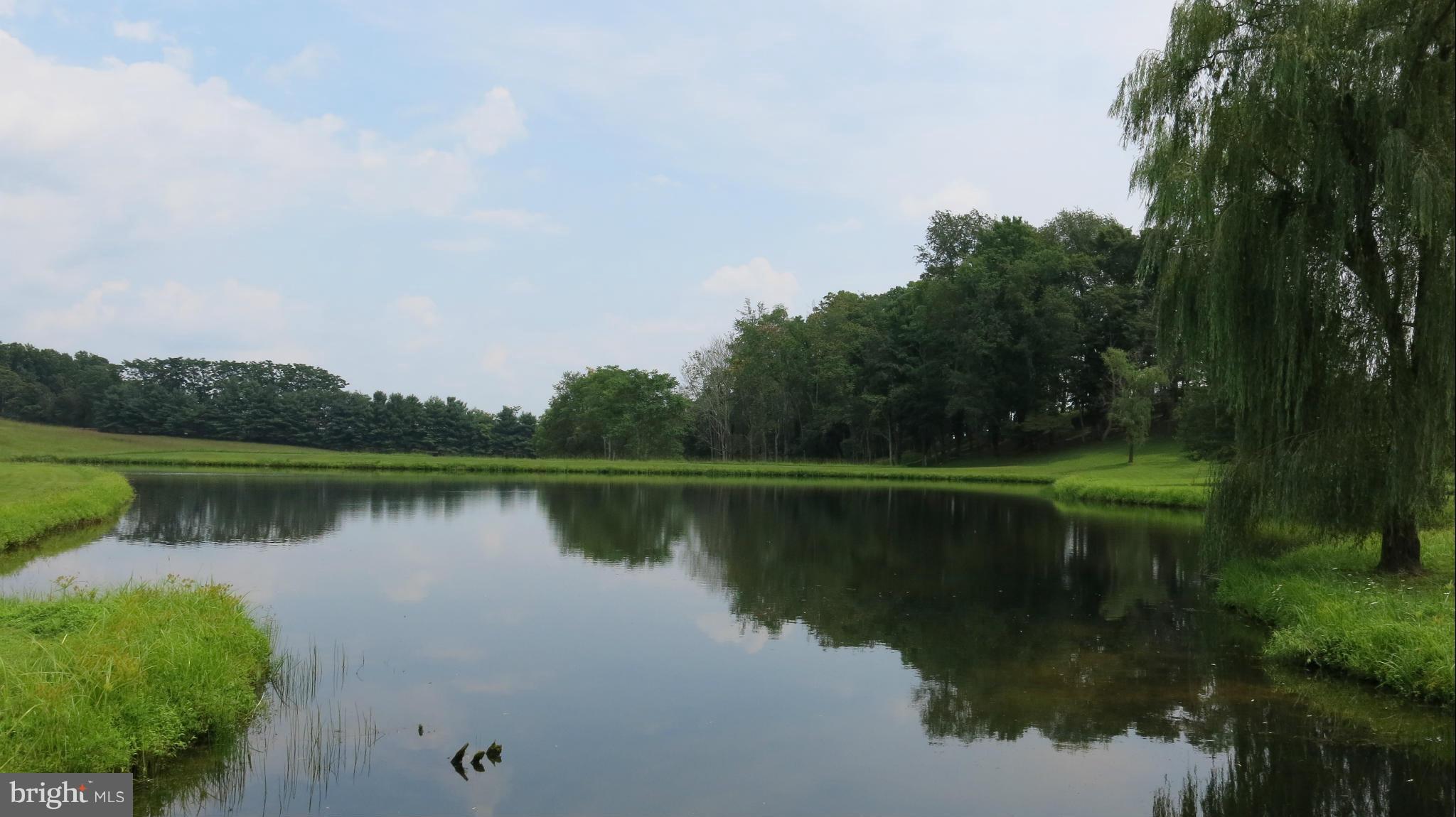 678 Bessie Bell Mountain Road Castleton, VA 22716 - Photo 18 of 30 View