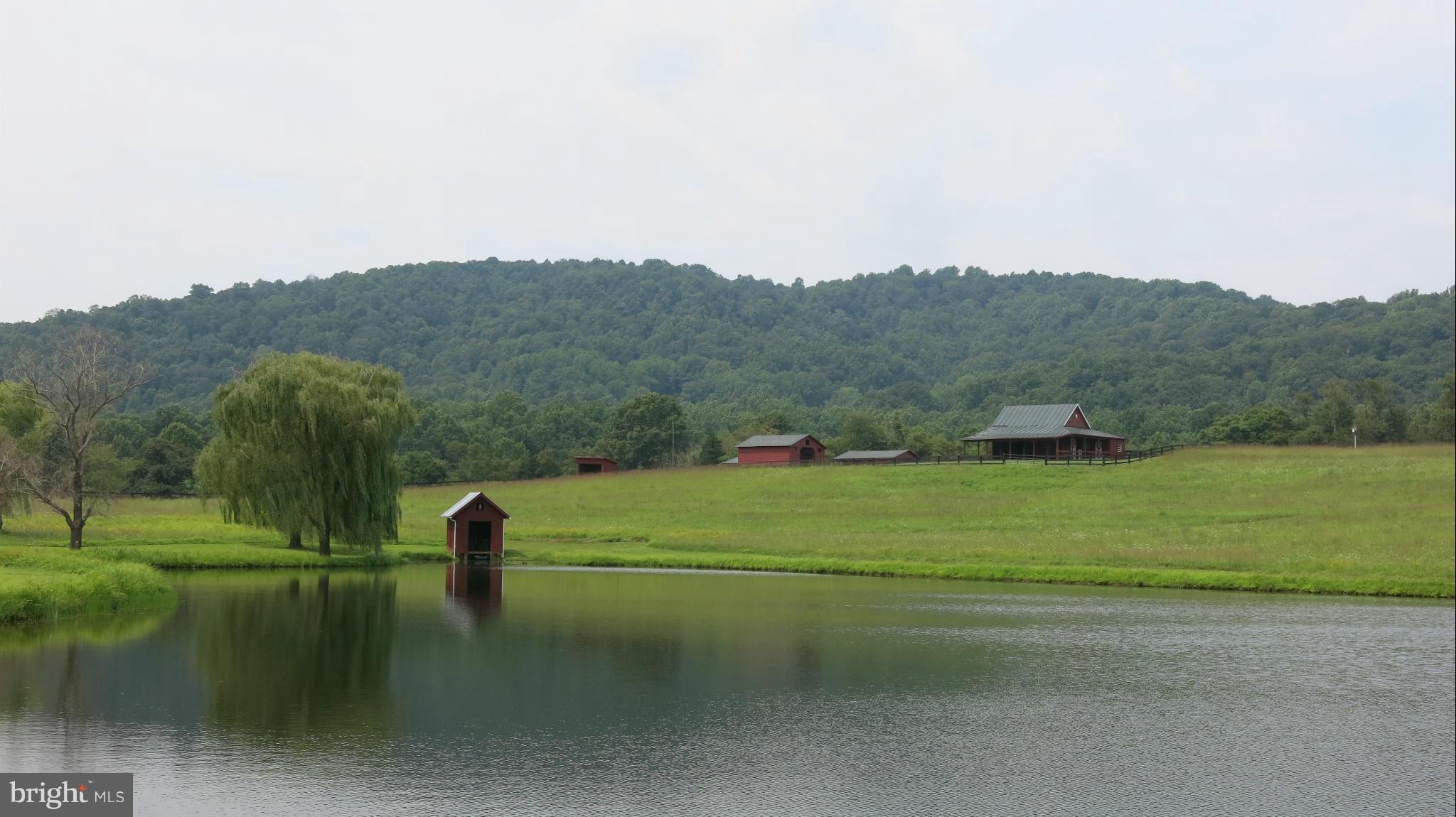 678 Bessie Bell Mountain Road Castleton, VA 22716 - Photo 19 of 30 View
