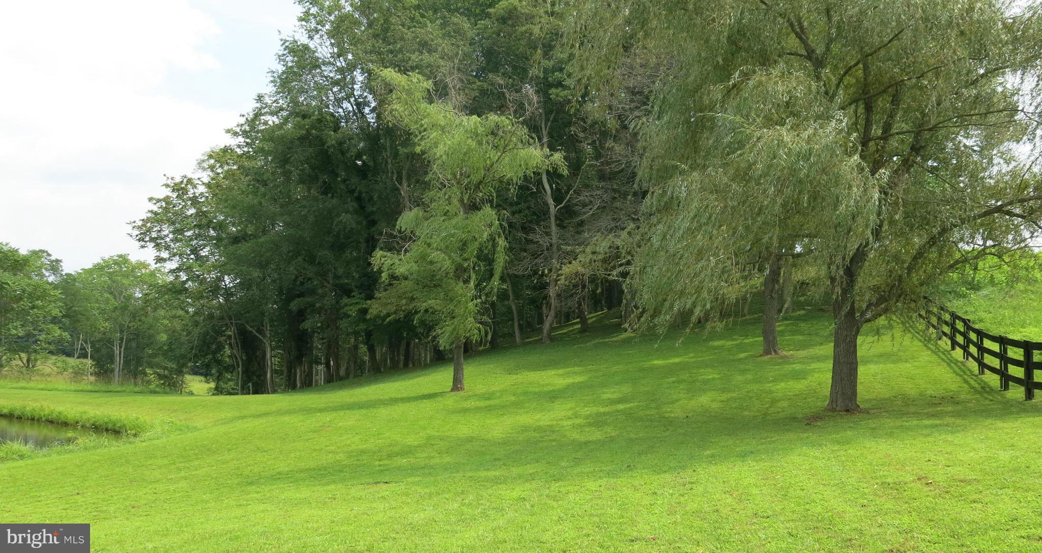 678 Bessie Bell Mountain Road Castleton, VA 22716 - Photo 24 of 30 View