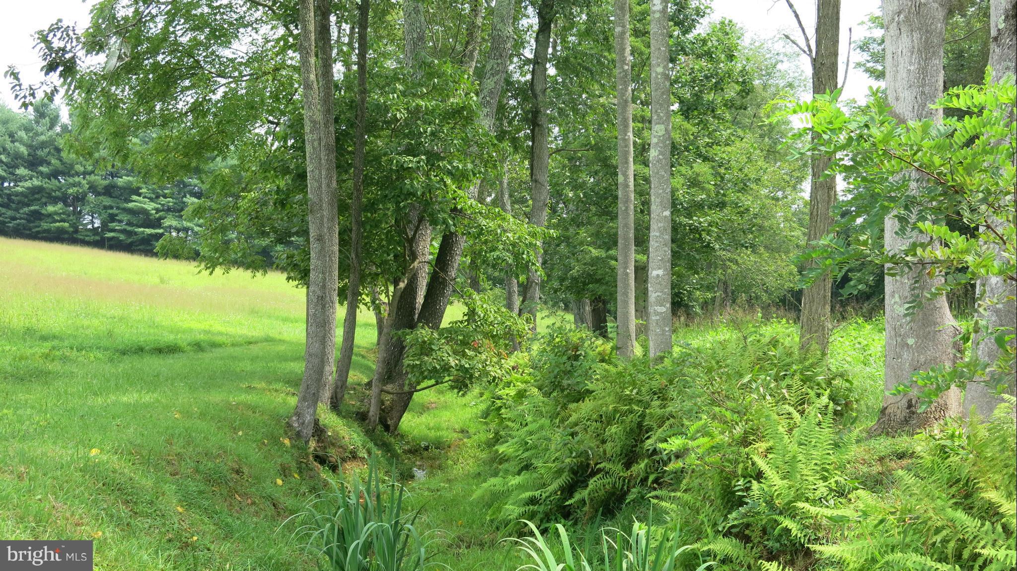 678 Bessie Bell Mountain Road Castleton, VA 22716 - Photo 26 of 30 View