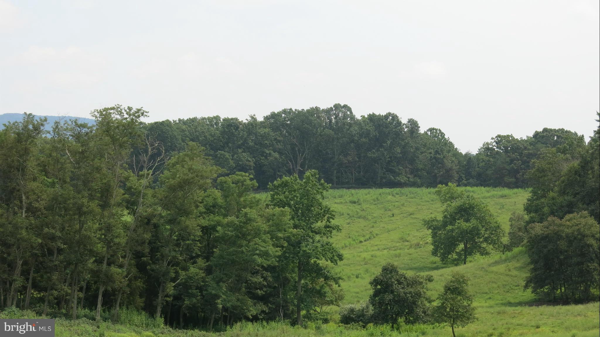 678 Bessie Bell Mountain Road Castleton, VA 22716 - Photo 28 of 30 View