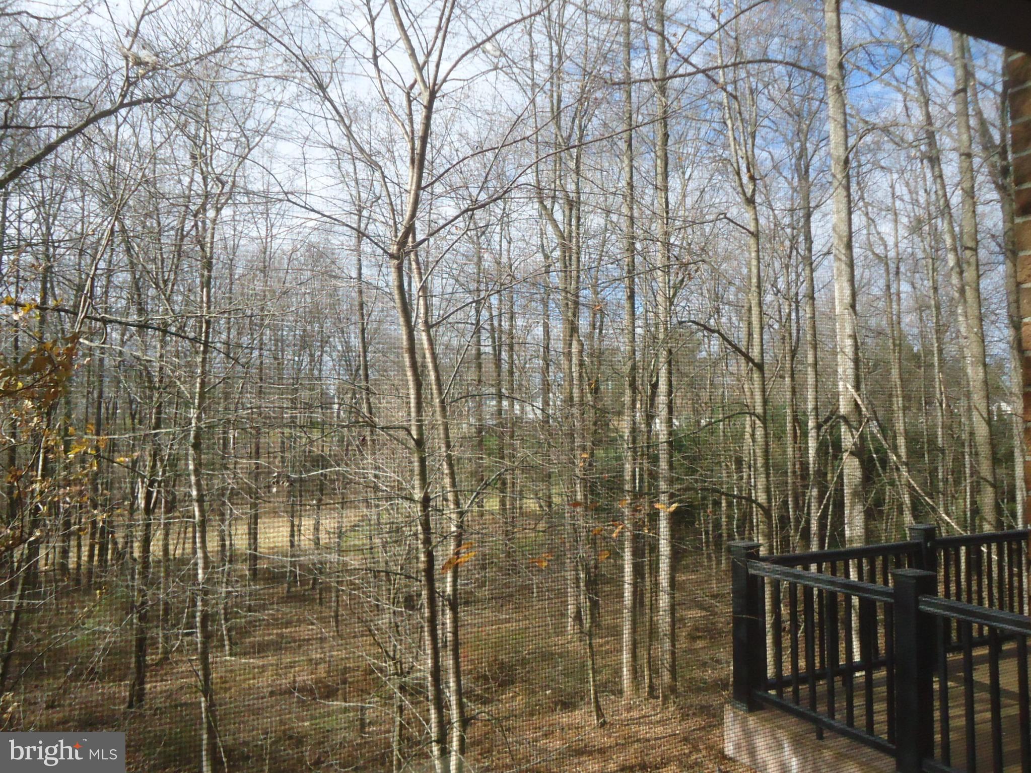 2946 Pinewick Road Ellicott City, MD 21042 - Photo 21 of 55 Gallery Image 21