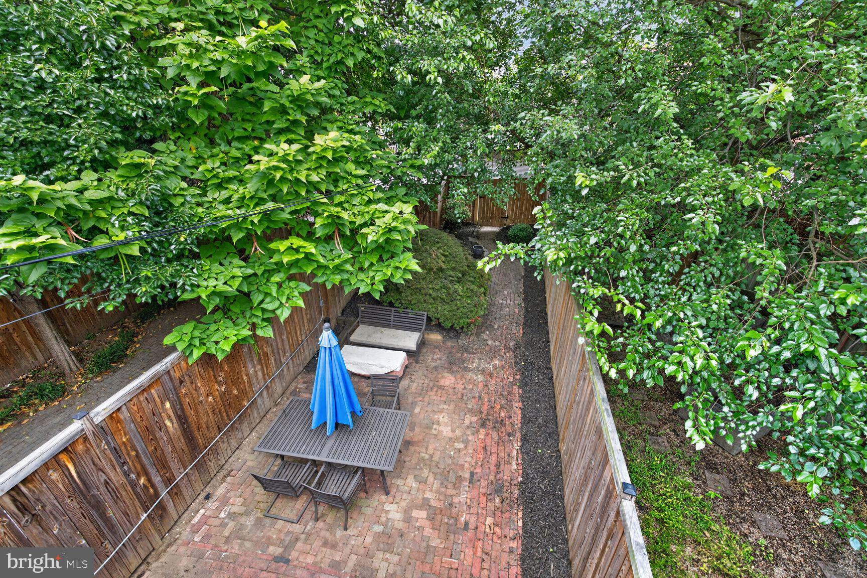 641 11th Street Northeast Washington, DC 20002 - Photo 22 of 22 Serene backyard oasis with lush greenery.