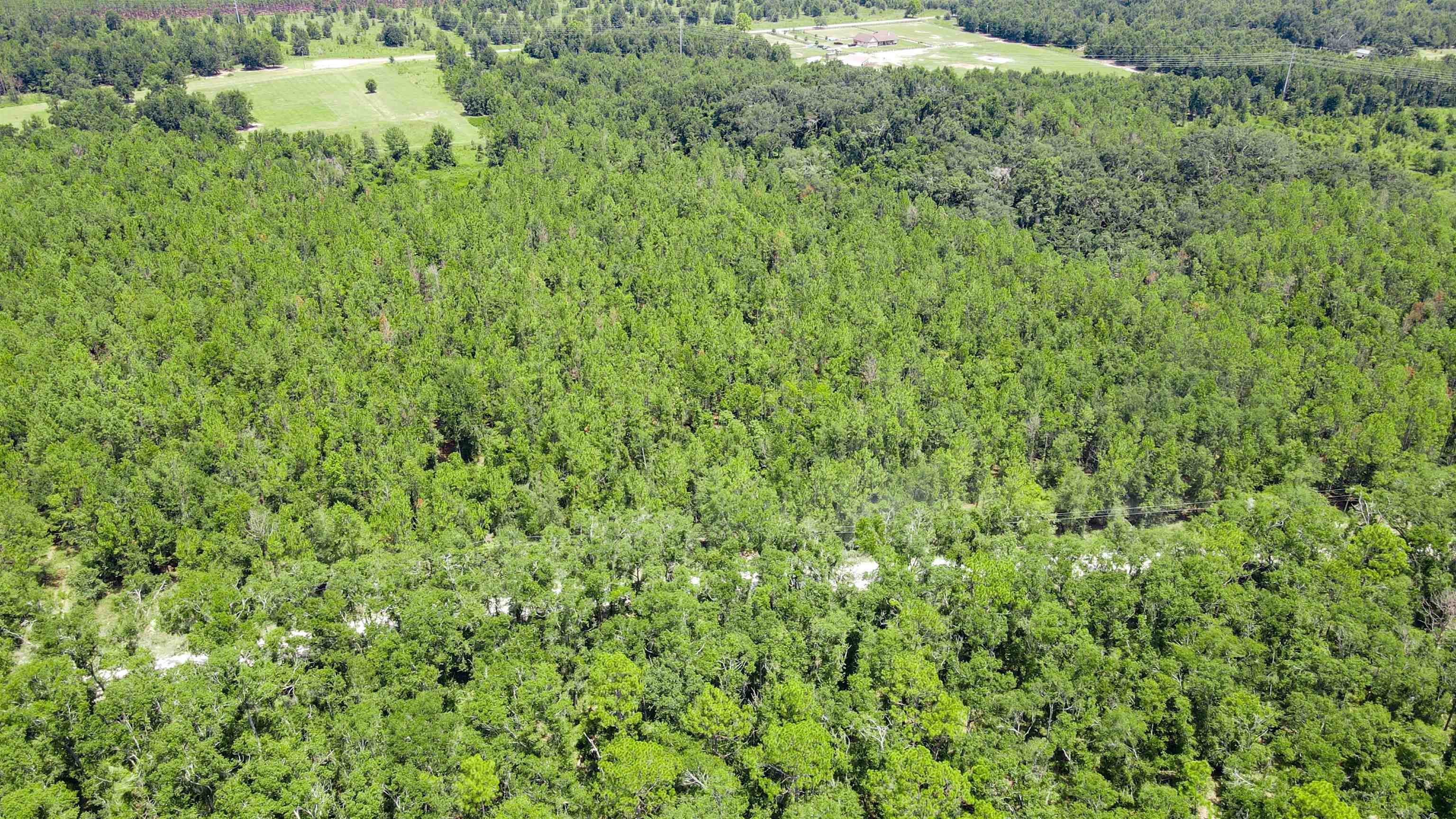 2-royal Springs 2-royal Springs, Unit LOT 2 O'Brien, FL 32071 - Photo 12 of 18