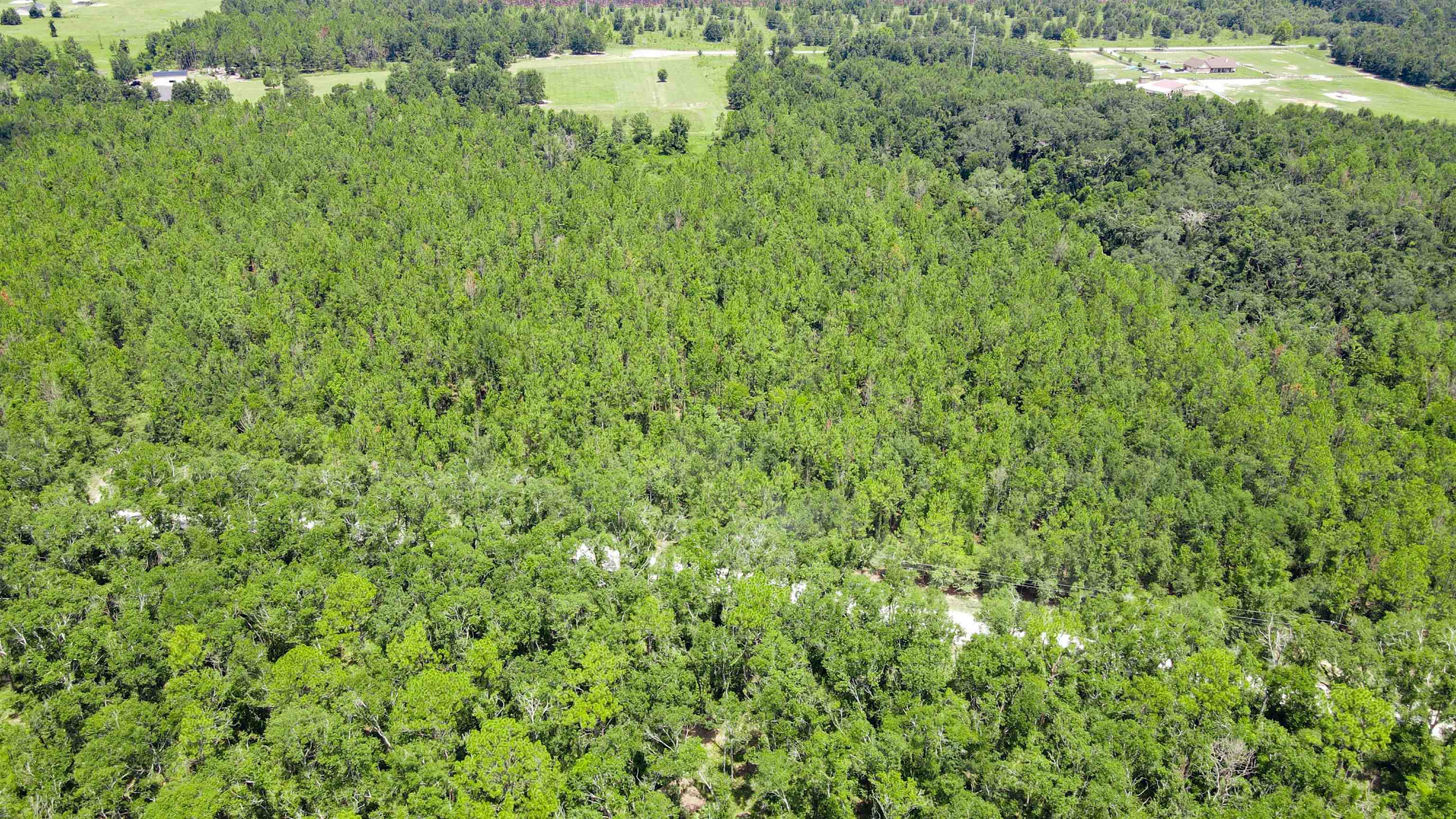 2-royal Springs 2-royal Springs, Unit LOT 2 O'Brien, FL 32071 - Photo 13 of 18