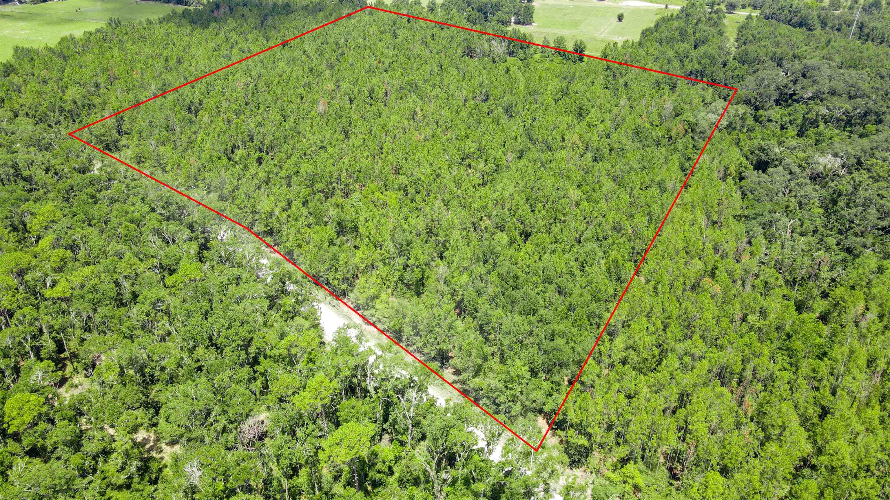 2-royal Springs 2-royal Springs, Unit LOT 2 O'Brien, FL 32071 - Photo 14 of 18