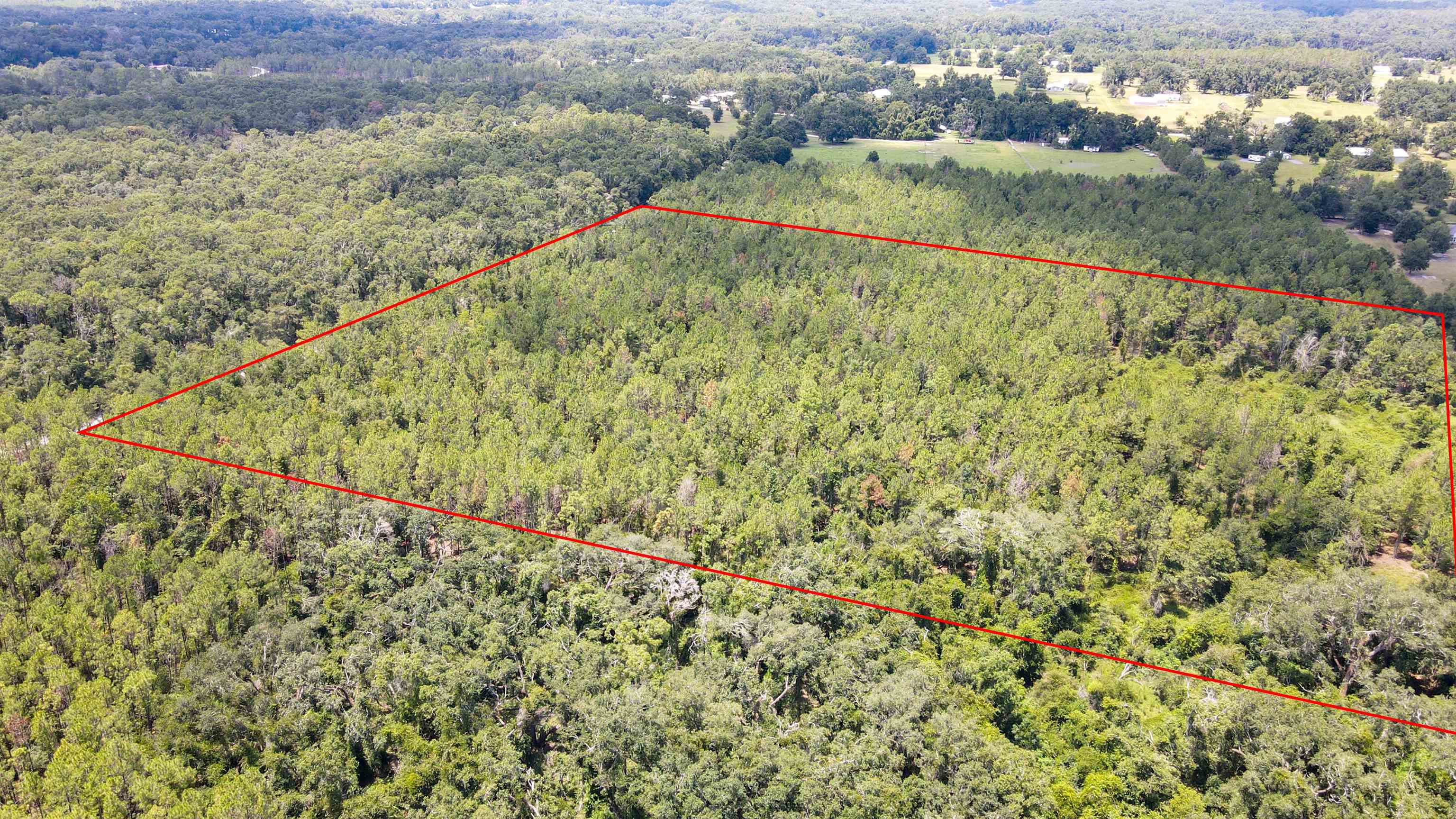 2-royal Springs 2-royal Springs, Unit LOT 2 O'Brien, FL 32071 - Photo 15 of 18