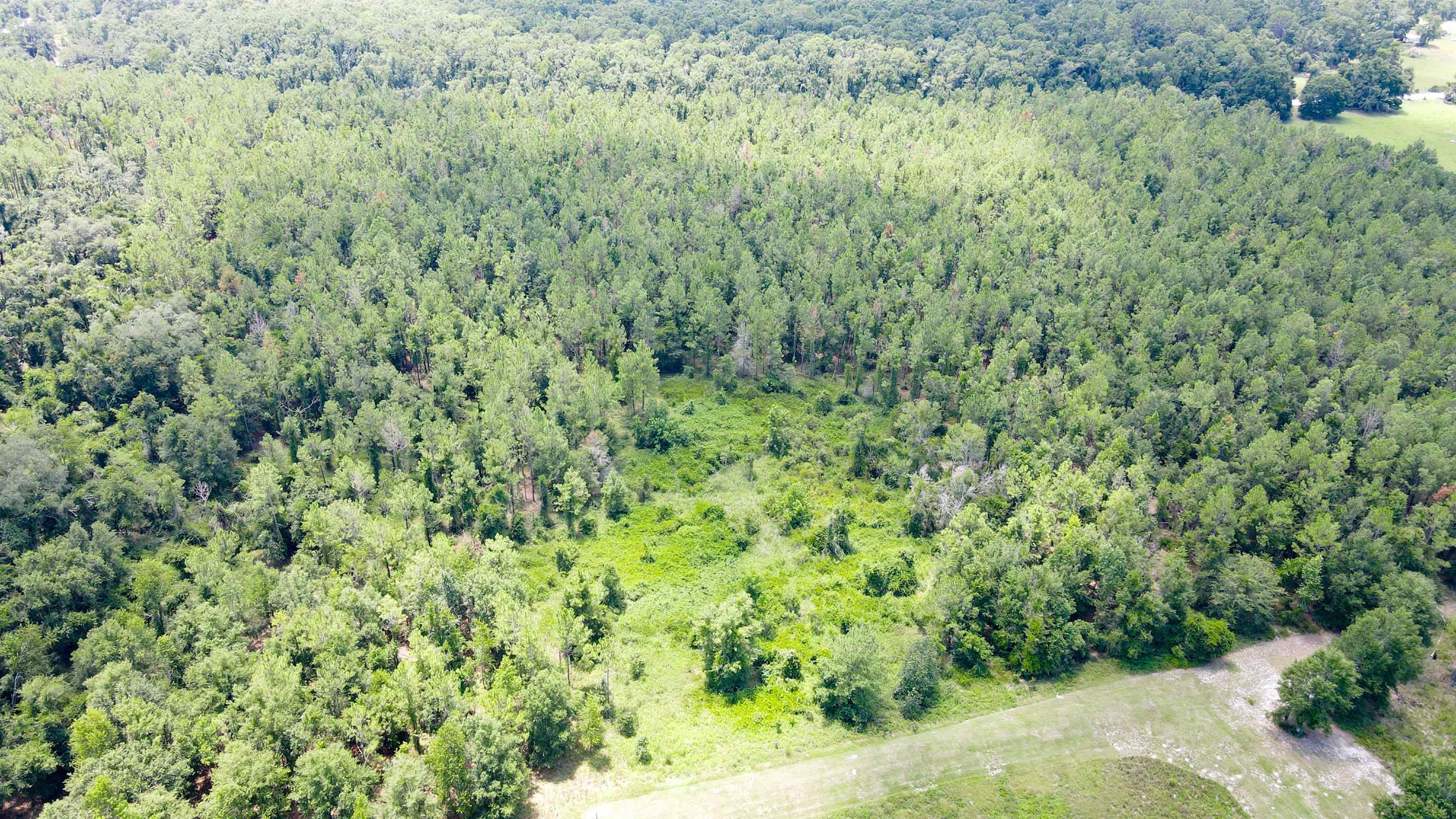 2-royal Springs 2-royal Springs, Unit LOT 2 O'Brien, FL 32071 - Photo 16 of 18