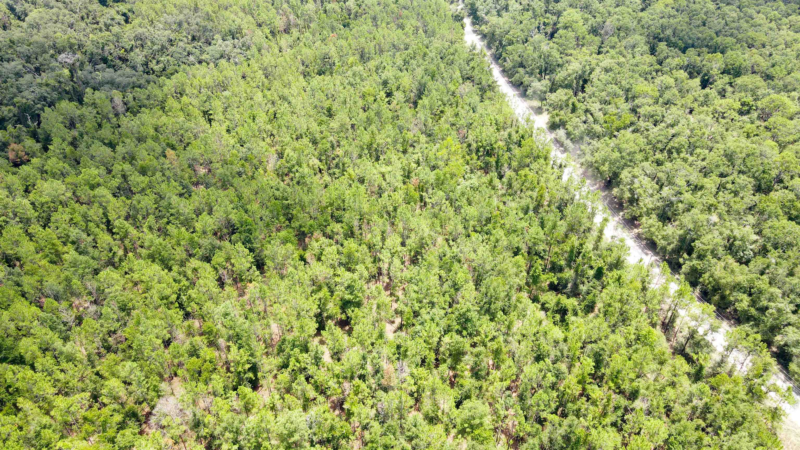 2-royal Springs 2-royal Springs, Unit LOT 2 O'Brien, FL 32071 - Photo 18 of 18