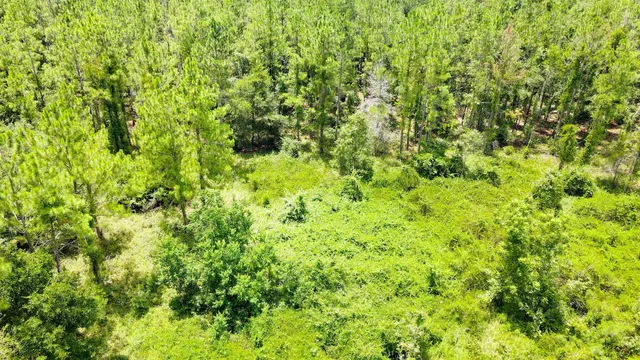 $111,000 | 2-royal Springs 2-royal Springs, Unit LOT 2, O'Brien, FL 32071