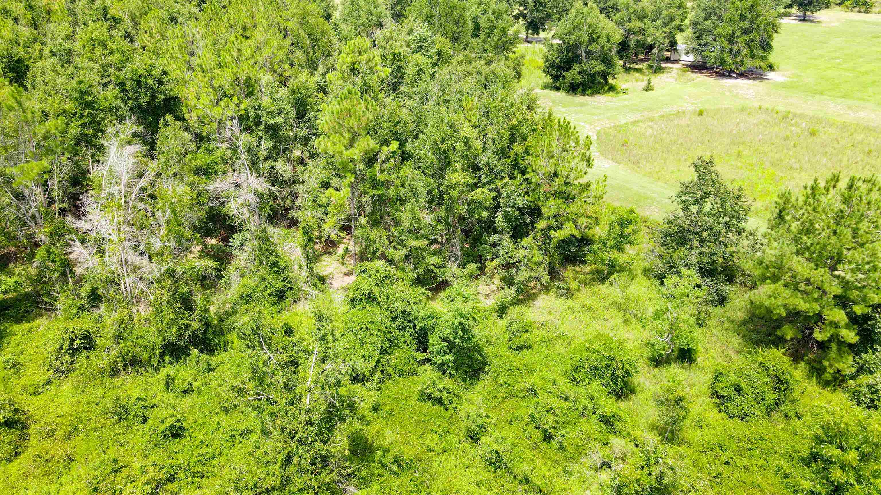 2-royal Springs 2-royal Springs, Unit LOT 2 O'Brien, FL 32071 - Photo 5 of 18