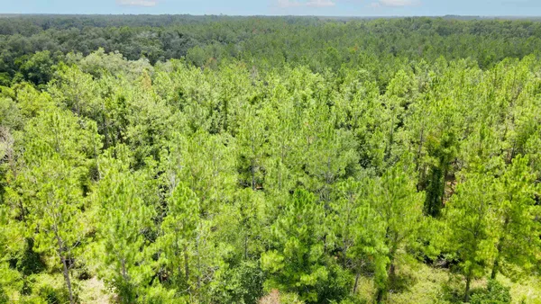 $111,000 | 2-royal Springs 2-royal Springs, Unit LOT 2, O'Brien, FL 32071