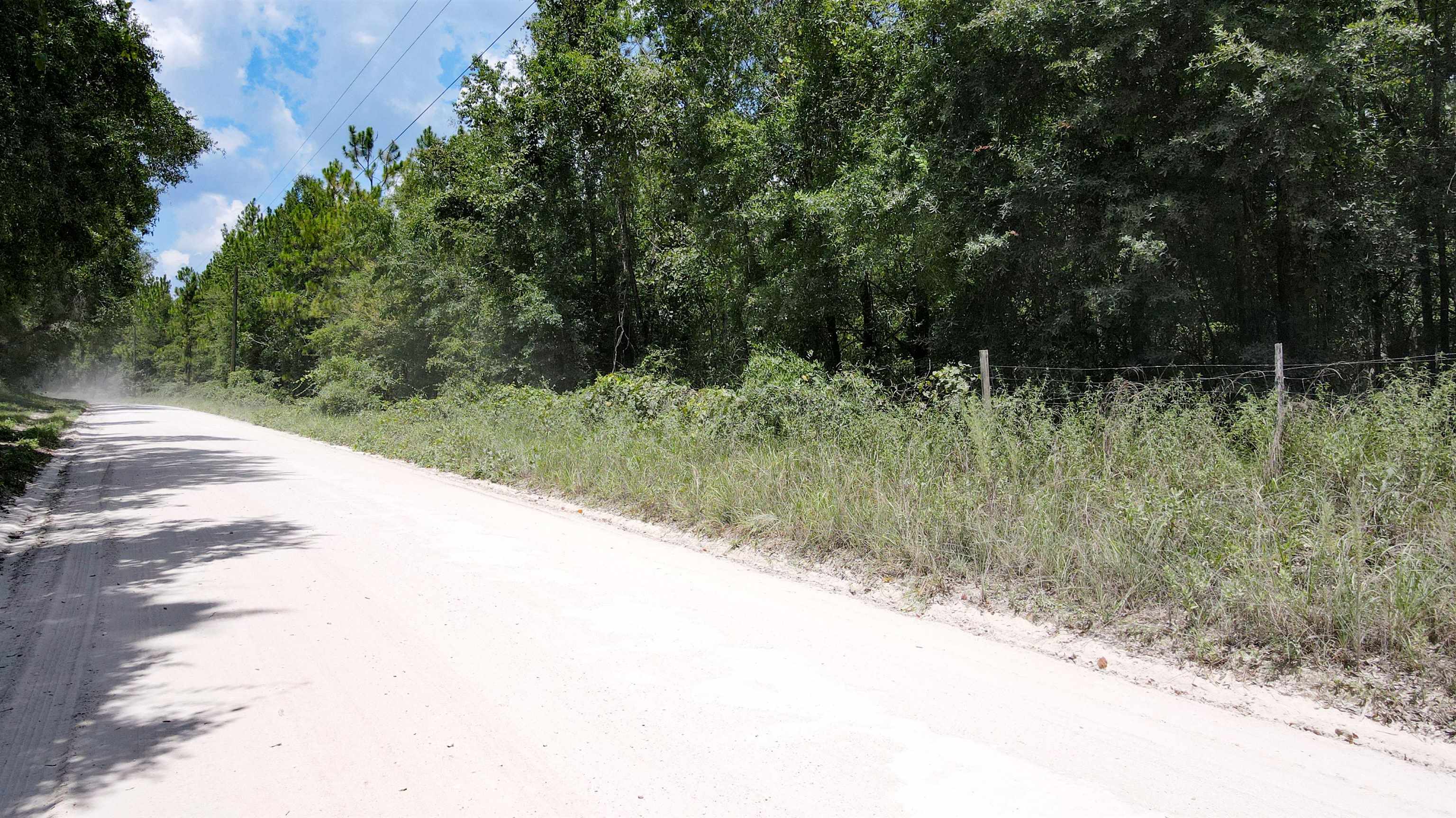 2-royal Springs 2-royal Springs, Unit LOT 2 O'Brien, FL 32071 - Photo 8 of 18