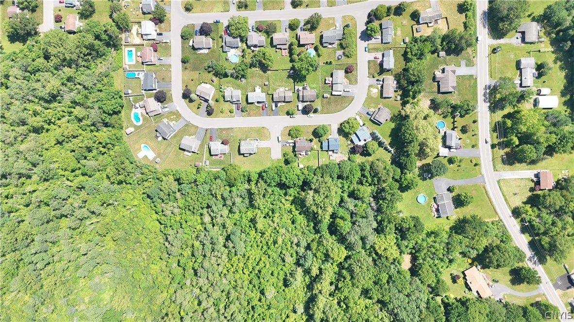 8193 Rizzo Drive Clay, NY 13041 - Photo 42 of 47