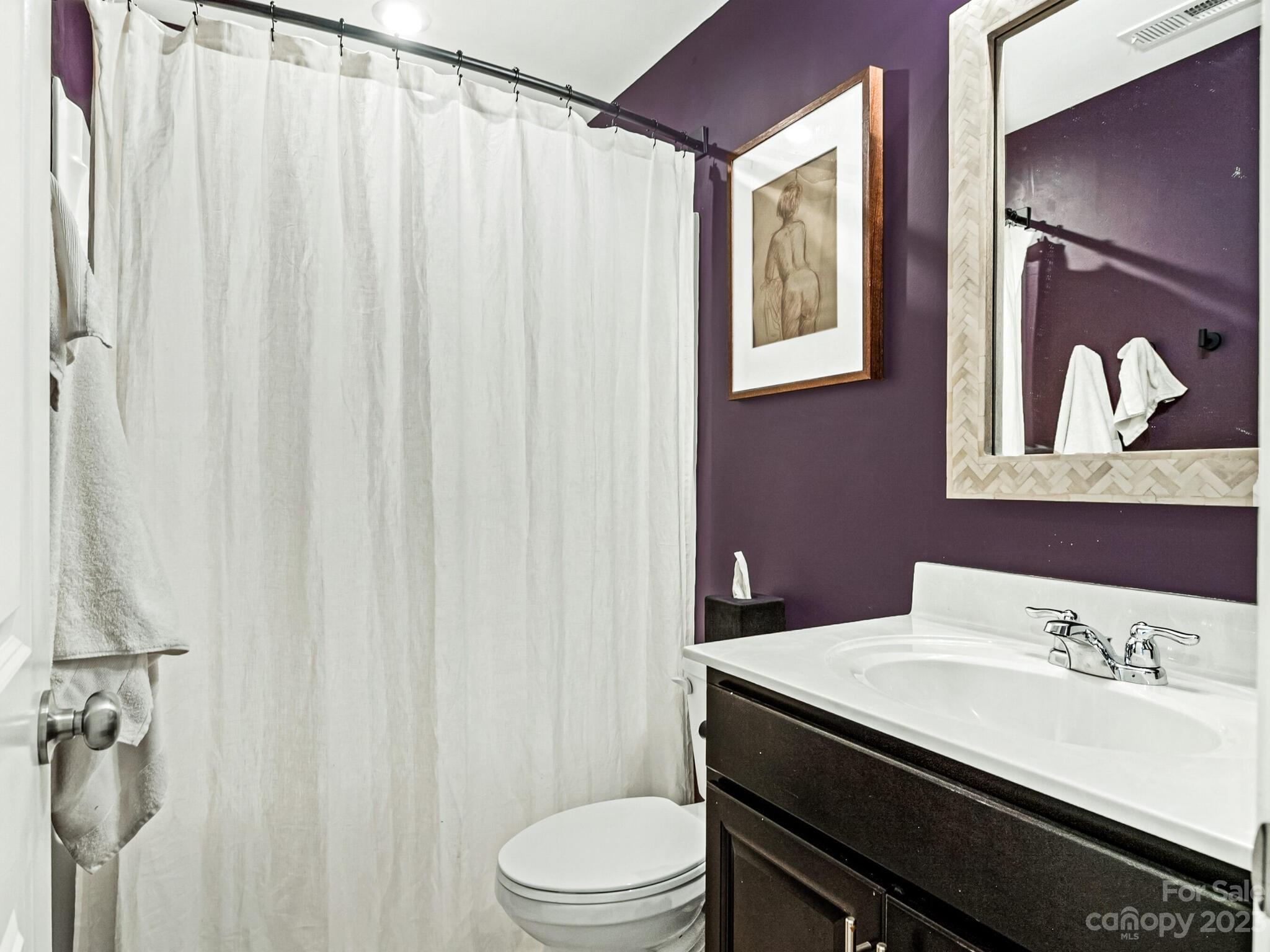 907 Wicawa Road Fort Mill, SC 29708 - Photo 20 of 25 a bathroom with a sink a toilet and a mirror