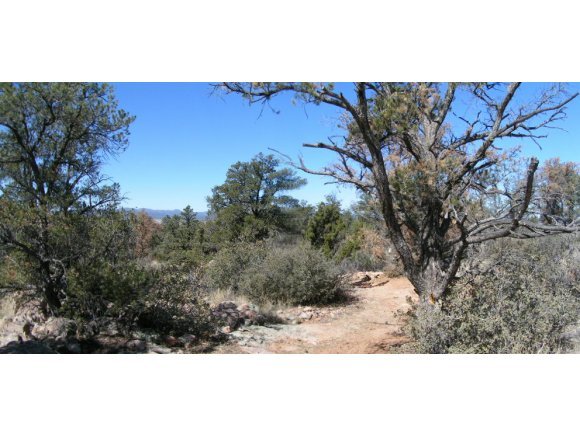 16200 Petroglyph Road Prescott, AZ 86305 - Photo 2 of 12 Additional Photo