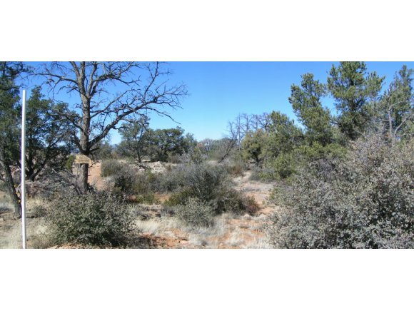 16200 Petroglyph Road Prescott, AZ 86305 - Photo 6 of 12 Additional Photo