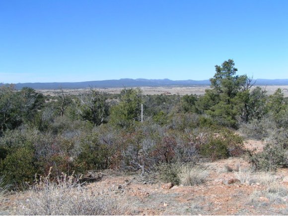 16200 Petroglyph Road Prescott, AZ 86305 - Photo 7 of 12 Additional Photo