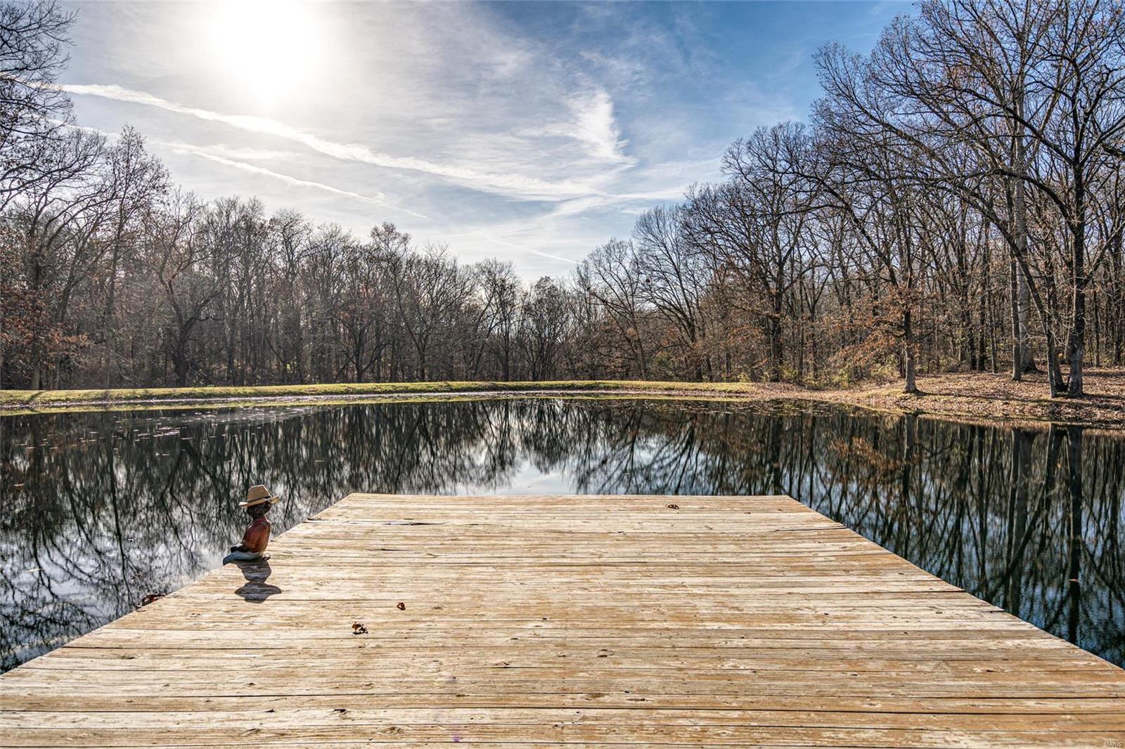 9799 Lake Road Gillespie, IL 62033 - Photo 71 of 72 Gallery Image 71