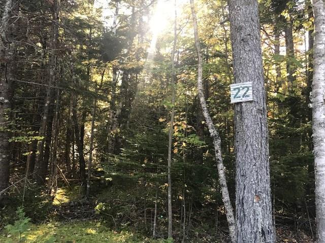 Lot 21-22 Coffins Neck Road Lubec, ME 04652 - Photo 5 of 13 Photo
