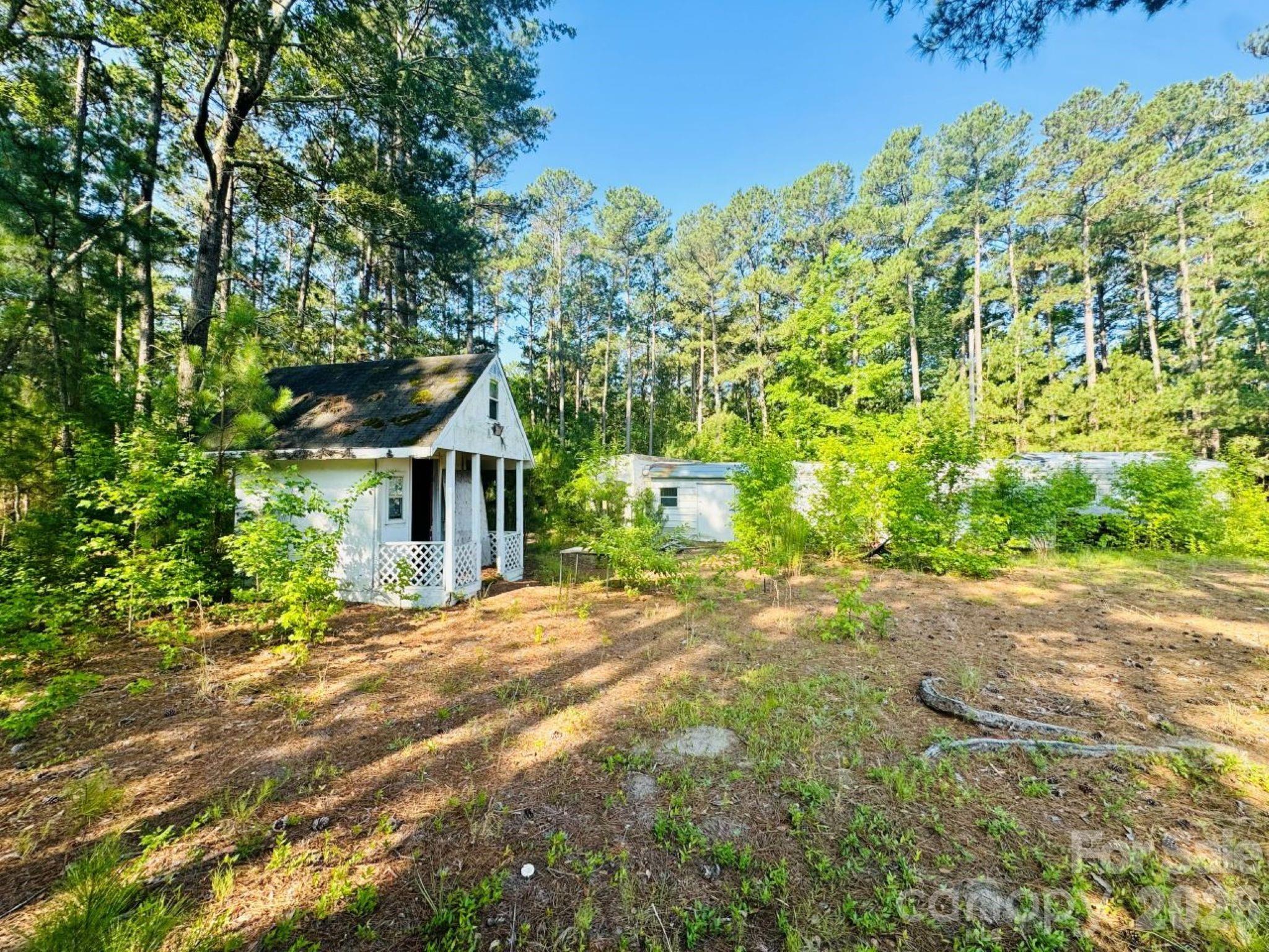 5326 Judson Road Clio, SC 29525 - Photo 17 of 29