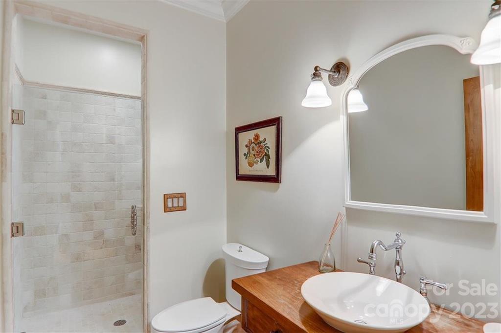 99 Mullally Drive Flat Rock, NC 28731 - Photo 23 of 48 a bathroom with a toilet a sink and a mirror