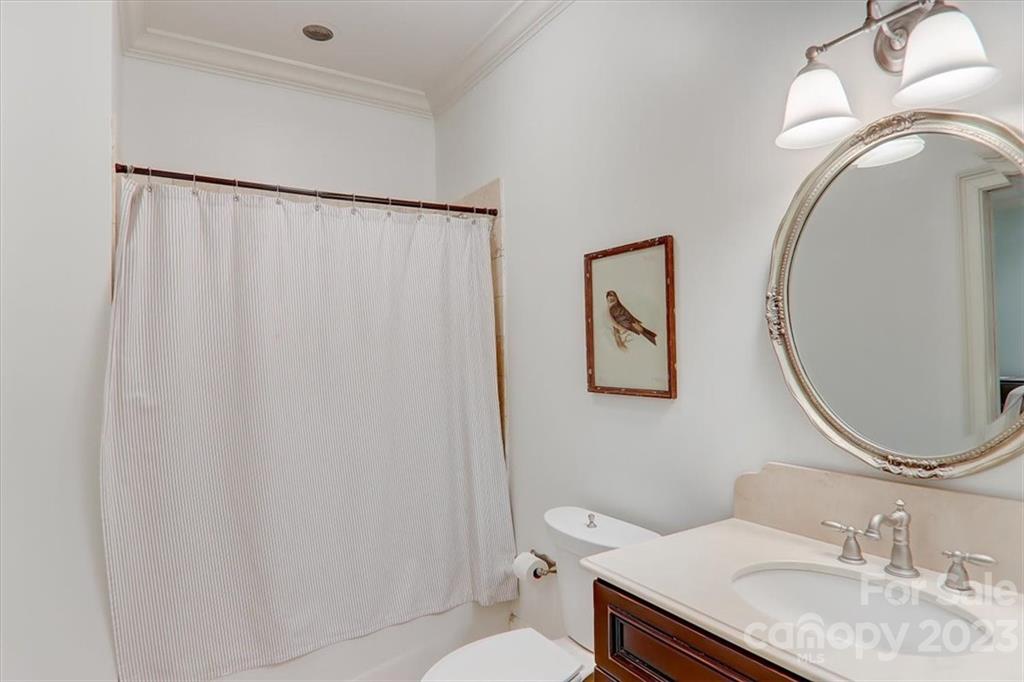 99 Mullally Drive Flat Rock, NC 28731 - Photo 36 of 48 a bathroom with a sink mirror vanity and toilet