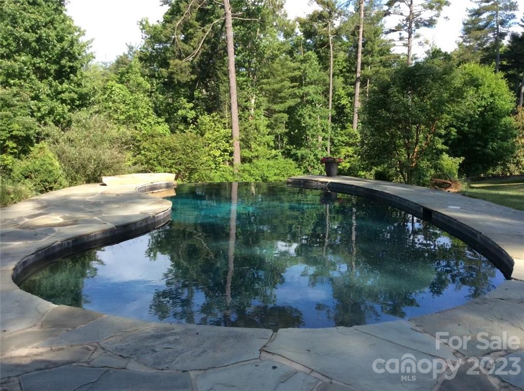 99 Mullally Drive Flat Rock, NC 28731 - Photo 45 of 48 a balcony with water view