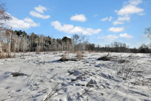 $650,000 | 1241 Holly Drive East, Hugo, MN 55038