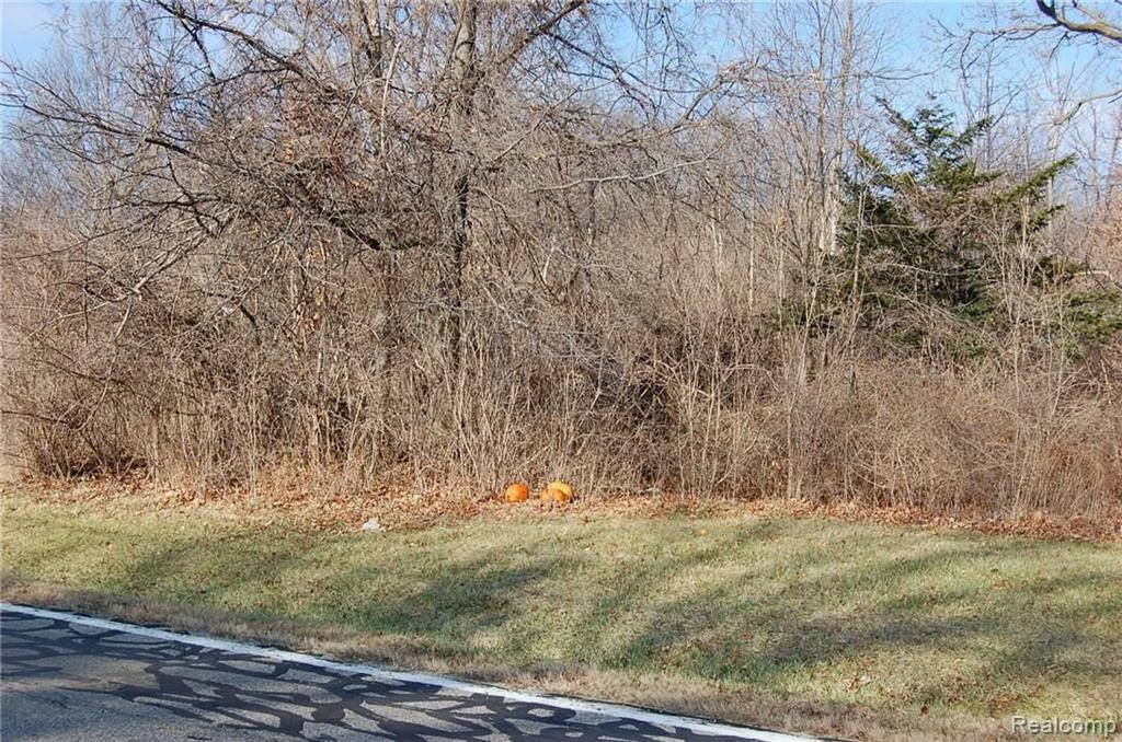 . Herman Street Romulus, MI 48174 - Photo 2 of 2