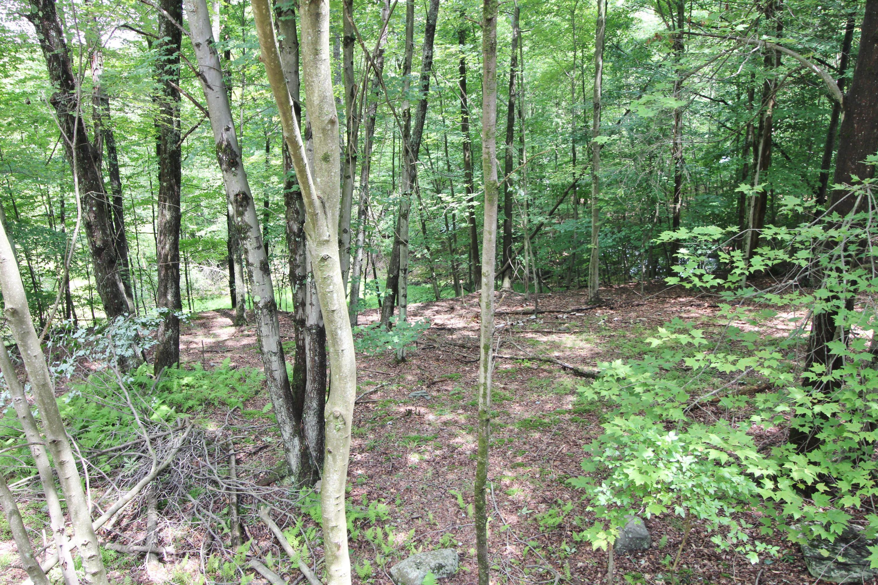 124 Ferris Road Hawley, PA 18428 - Photo 24 of 37 Back Yard